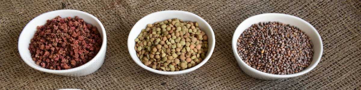 semi di piante semi di ortaggi semi di fiori