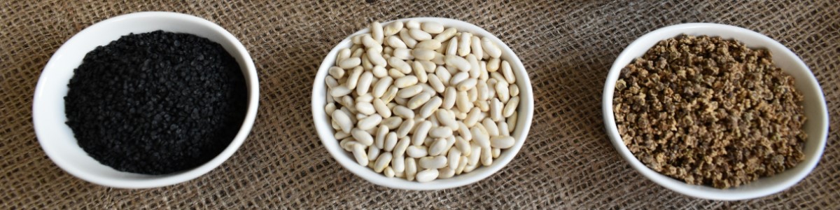 semi di piante semi di ortaggi semi di fiori