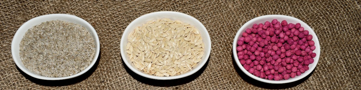 semi di piante semi di ortaggi semi di fiori