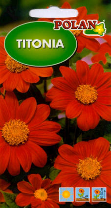 PLANTICO semi di piante semi di ortaggi semi di fiori