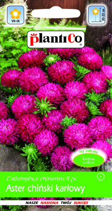 PLANTICO semi di piante semi di ortaggi semi di fiori