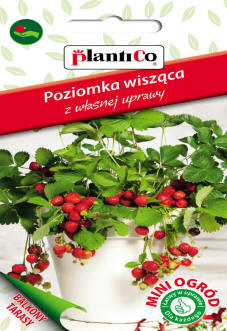 PLANTICO semi di piante semi di ortaggi semi di fiori