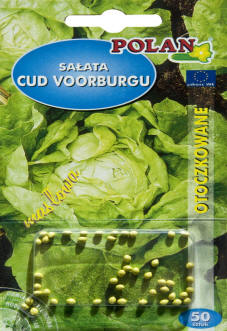 PLANTICO semi di piante semi di ortaggi semi di fiori